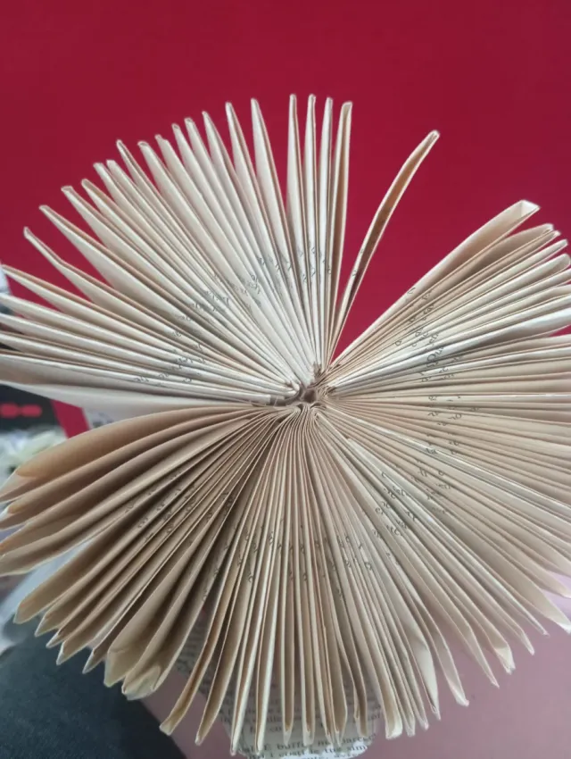 Babbo Natale decorazione libro