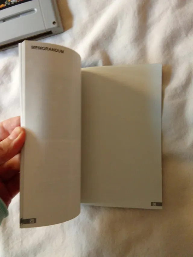 Starwing SNES (Super Nintendo)