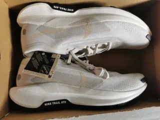 Nike Pegasus Trail 5 GTX