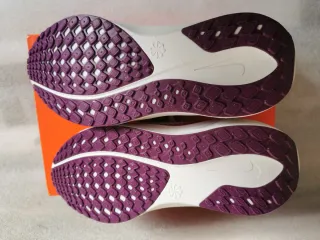 Zapatillas Nike Pegasus 41 Mujer