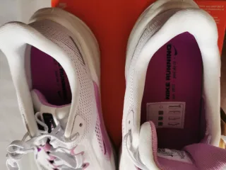 Zapatillas Nike Pegasus 41 Mujer