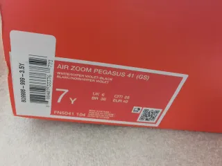 Zapatillas Nike Pegasus 41 Mujer