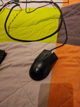 Setup Gaming PC, Pantalla, Teclado y Ratón