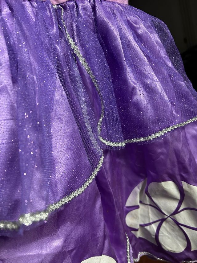 Disfraz Princesa Sofía 6-7 años