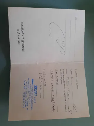 Coppia Tappeti Persiani Blu con garanzia