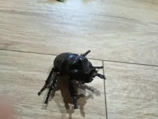 Colección Dinosaurios y Animales Marinos