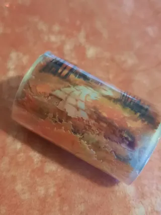 Fita Washi Rolo Árvores Floresta 60cmx2m