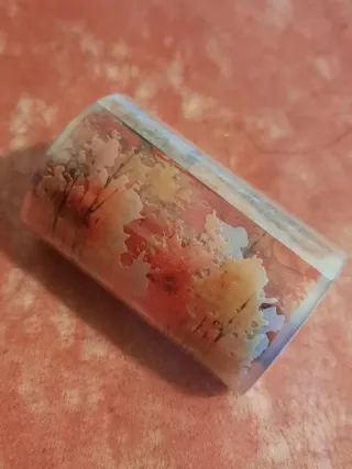 Fita Washi Rolo Árvores Floresta 60cmx2m