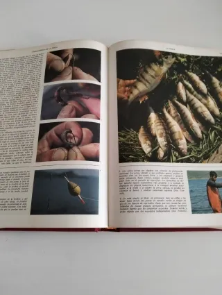 Enciclopedia de la pesca