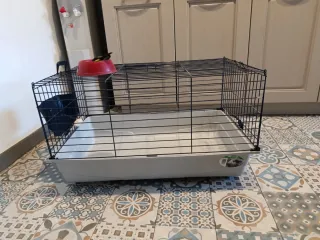 Jaula y transportín cobaya