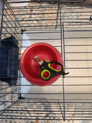 Jaula y transportín cobaya