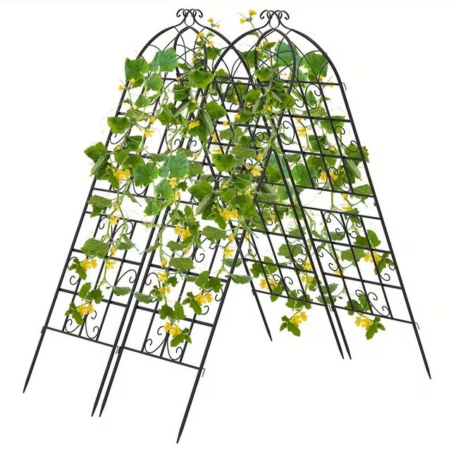 Trellis in metallo nero per giardini, ideale per