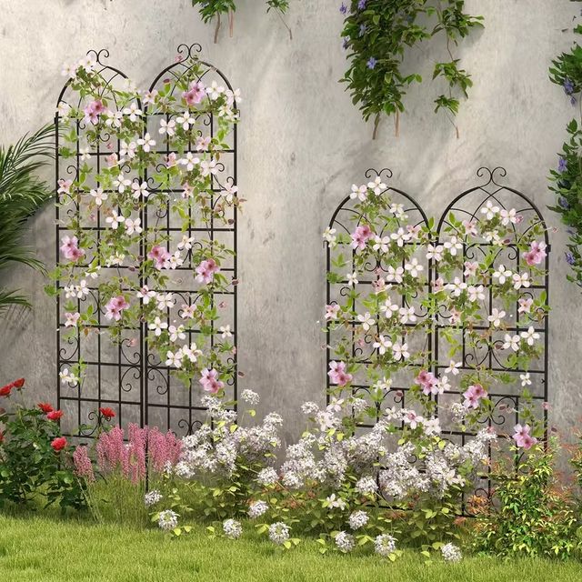 Trellis in metallo nero per giardini, ideale per
