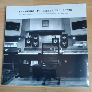 CARMINHO AT ELECTRICAL AUDIO-VINILO