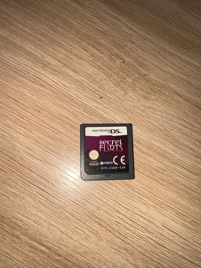 Secret Flirts Nintendo DS
