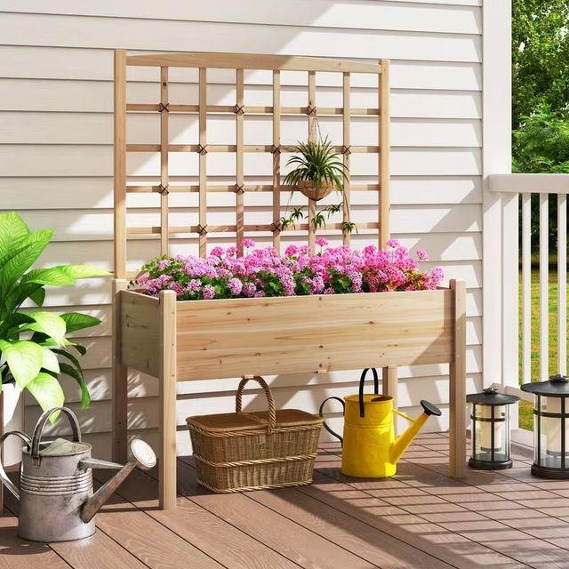 Letto da Giardino Elevato con Trellis a Reticolo e