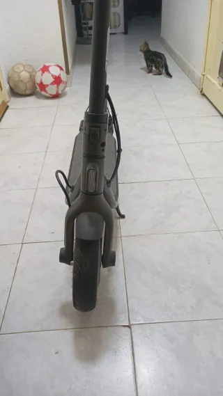 Ninebot Segway F25E Patinete Eléctrico