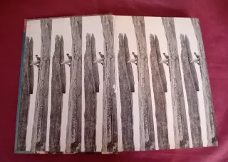 LIBRO " HIELO, NIEVE Y ROCA "