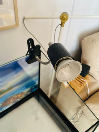 Terrario Tetra Repto Aqua Set 80L