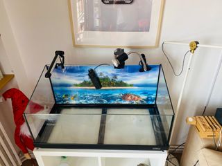 Terrario Tetra Repto Aqua Set 80L