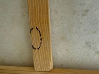 Cuadro de Bárbara Meléndez