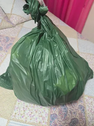 Bolsa Ropa Mujer Verde