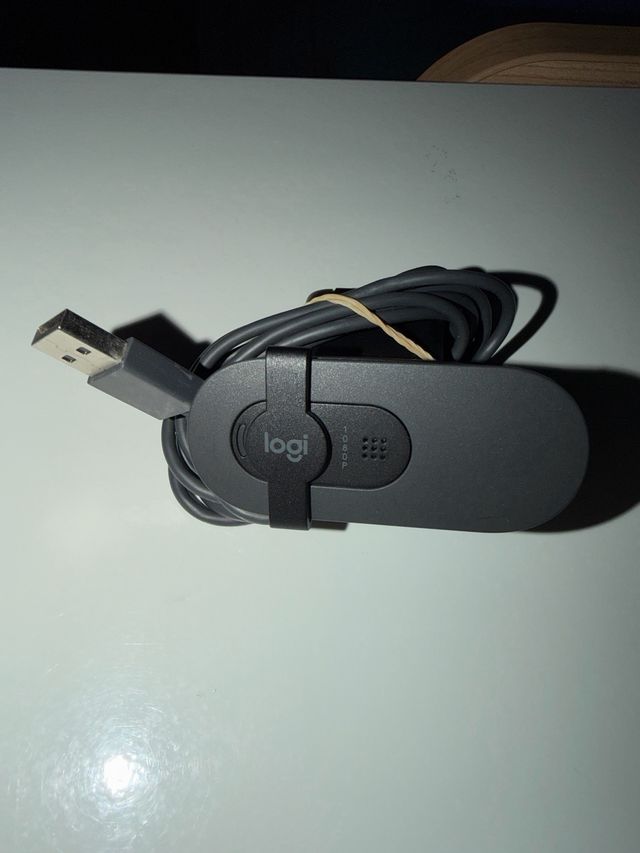 Webcam Logitech USB Grigia