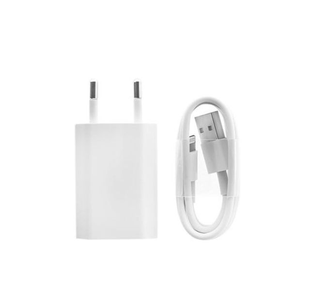 Cargador USB y Cable Lightning 1m