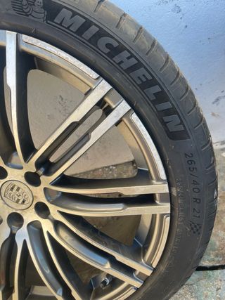 Llantas Porsche 295/35 R21 Michelin Pilot Sport 4