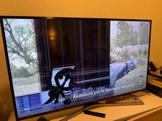 Samsung 49 TV (Pantalla Rota)