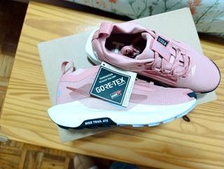 Nike Pegasus Trail 5 GORE-TEX Mujer