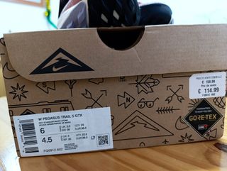 Nike Pegasus Trail 5 GORE-TEX Mujer