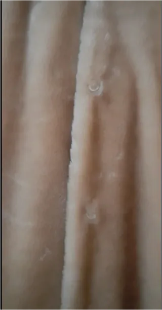 Chaquetón de pelo beige con capucha y bolsillos