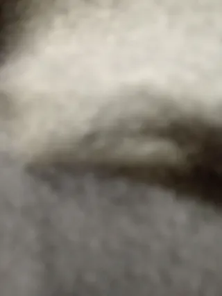 Chaqueta niño acolchada