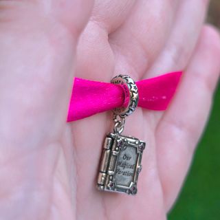 CHARM DISNEYLAND PARIS VACACIONES