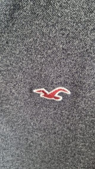 Polo Hollister gris oscuro manga corta