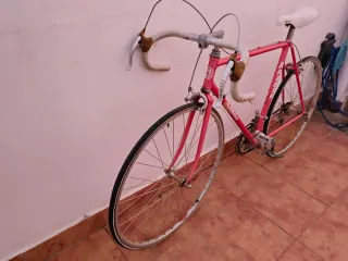 Bicicleta Clásica Razesa