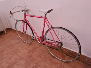 Bicicleta Clásica Razesa