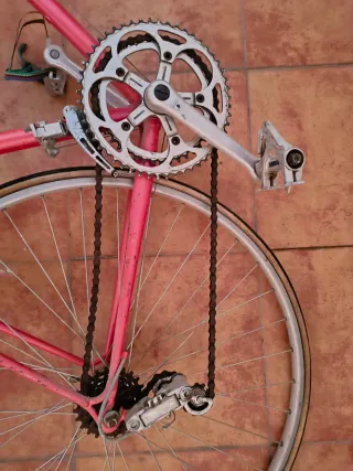 Bicicleta Clásica Razesa