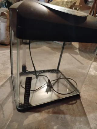 Pecera con termómetro y filtro