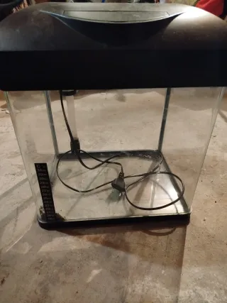 Pecera con termómetro y filtro