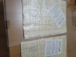 2 Antichi Papiri Egizi da Incorniciare