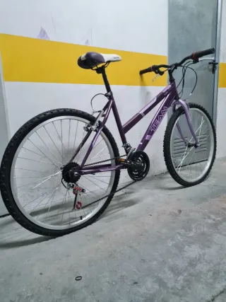 Bicicleta de paseo TEAM adulto morada