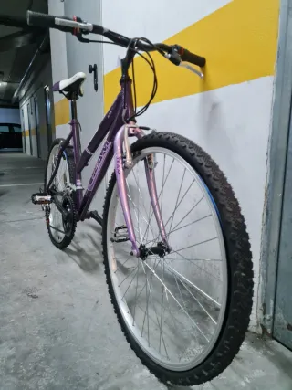 Bicicleta de paseo TEAM adulto morada