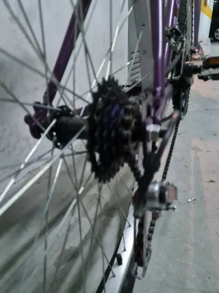 Bicicleta de paseo TEAM adulto morada