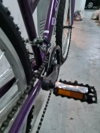 Bicicleta de paseo TEAM adulto morada