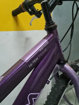 Bicicleta de paseo TEAM adulto morada