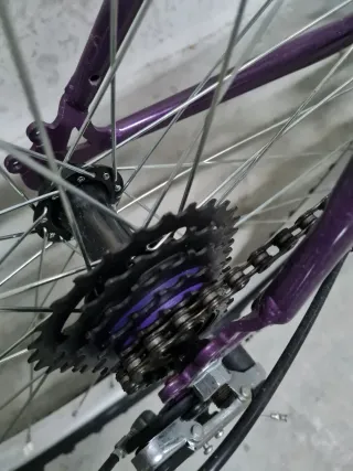 Bicicleta de paseo TEAM adulto morada