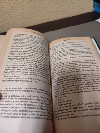 Los helechos arborescentes