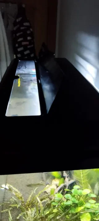 Acuario 60L completo